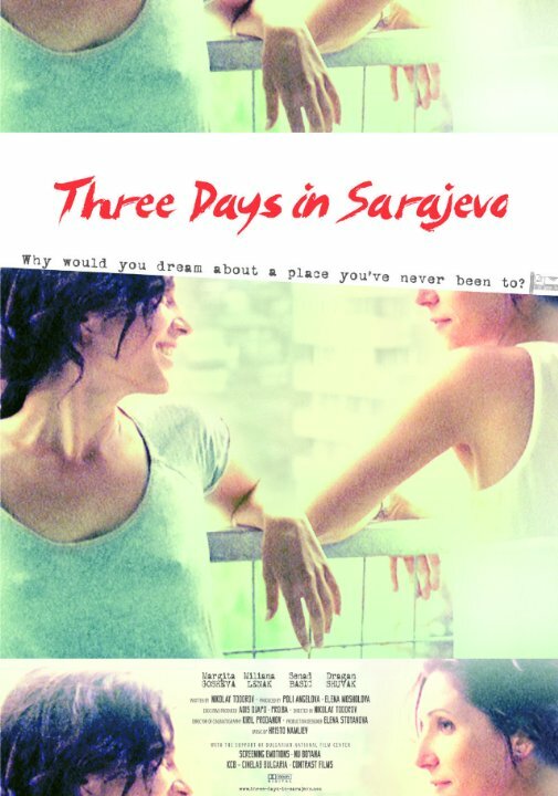 Three Days in Sarajevo (2014)