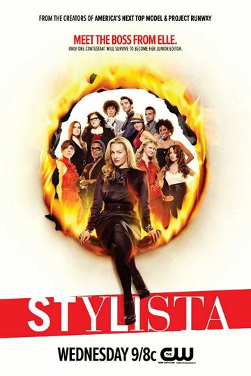 Стилистка (2008)